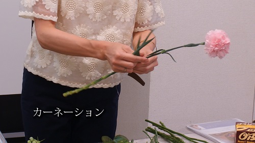 日比谷花壇デモンストレーション